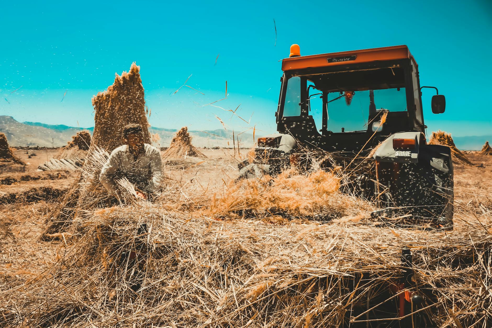 yield farming vs staking — Foto: Zeynep  Seçer (Pexels)