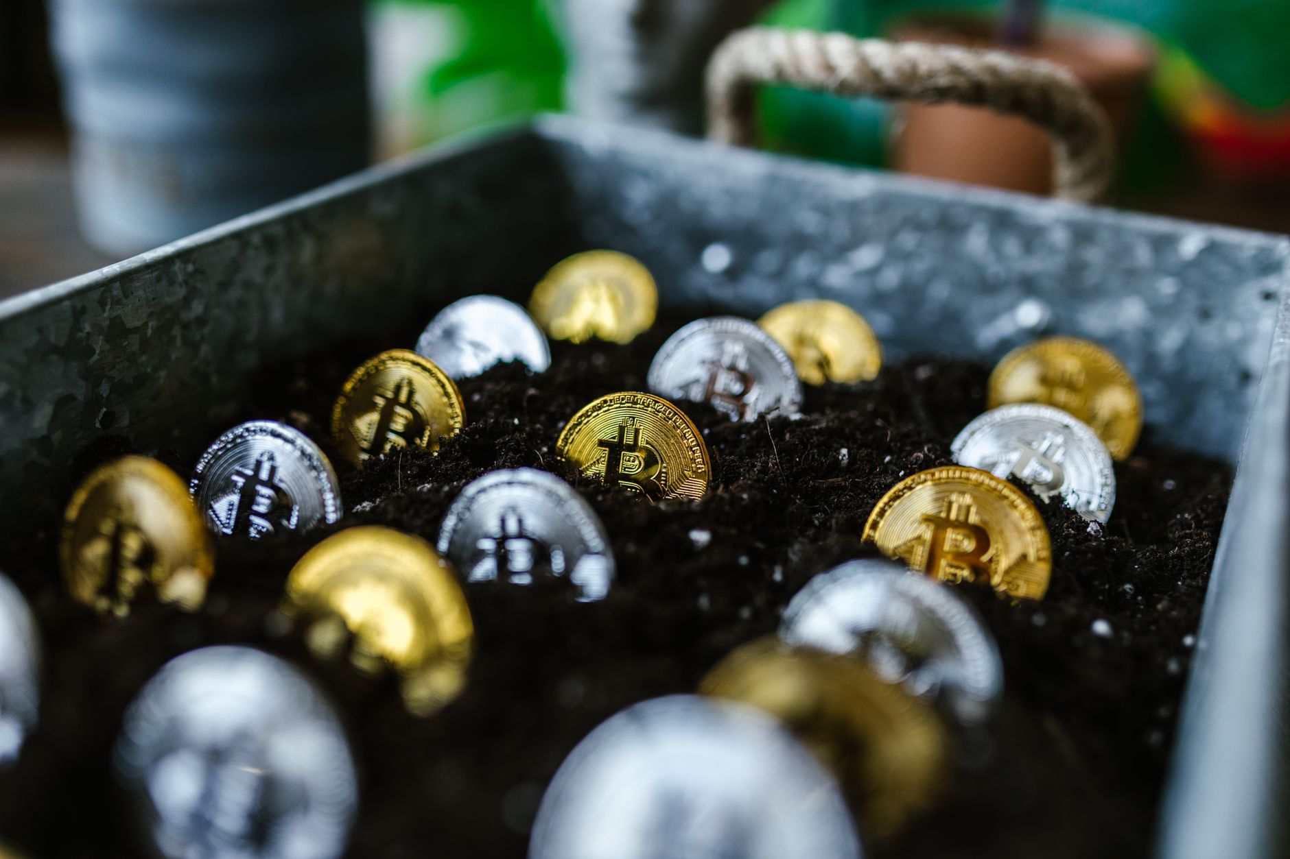 crypto keylogger — Foto: RDNE Stock project (Pexels)